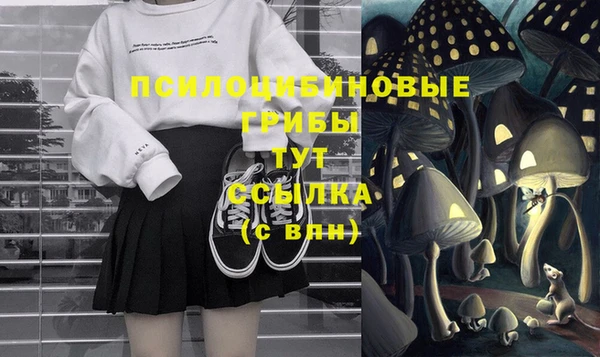 гашик Горно-Алтайск