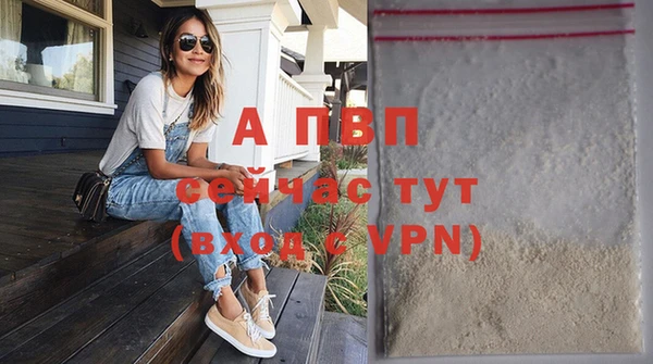 spice Горняк
